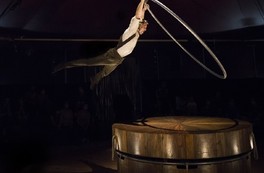 Cirque : Reflets - Ancenis-Saint-Géréon